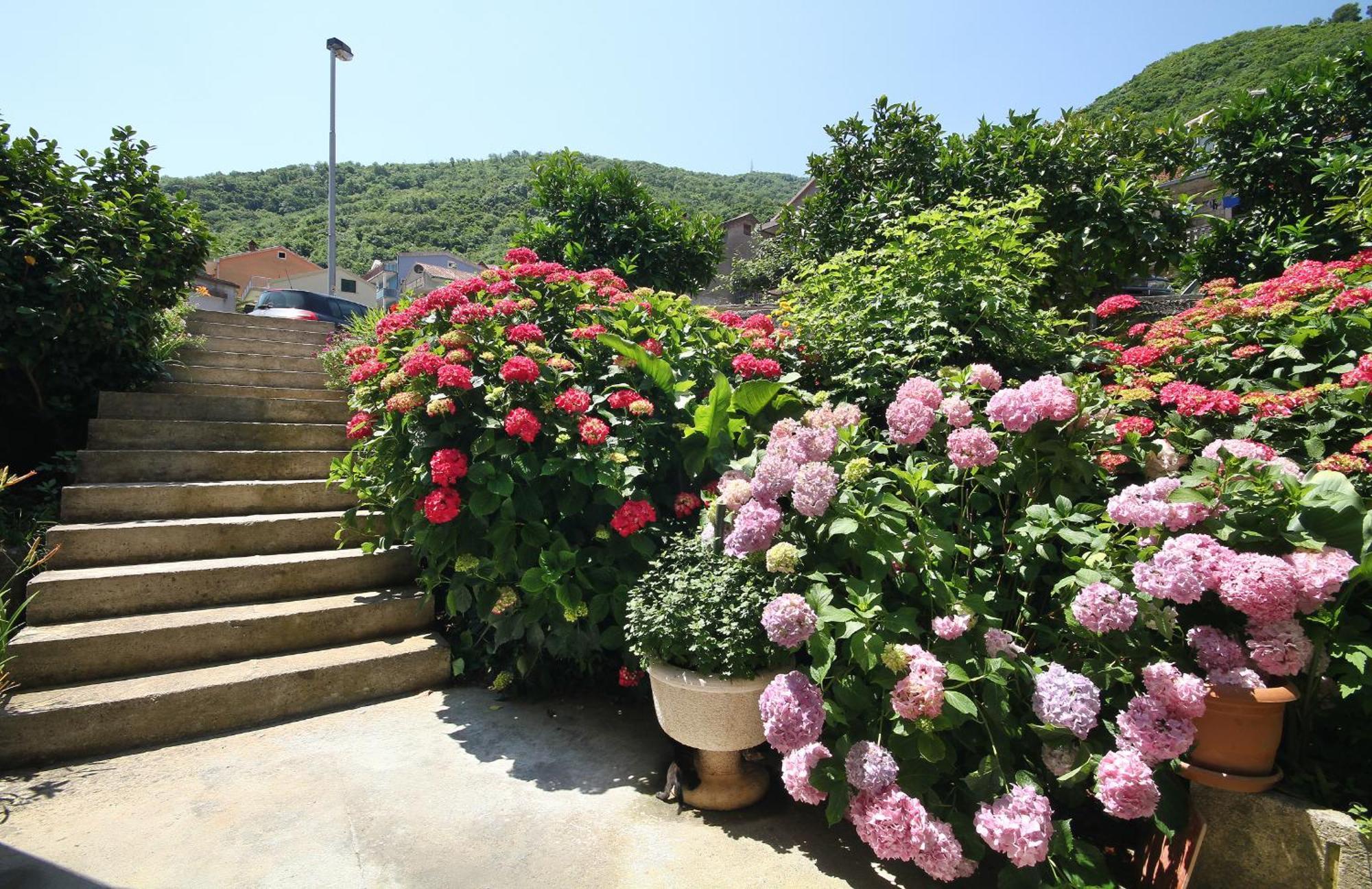 Apartments Raicevic Budva Exterior photo
